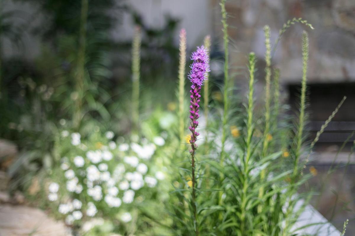 Fragrant Garden Apartment