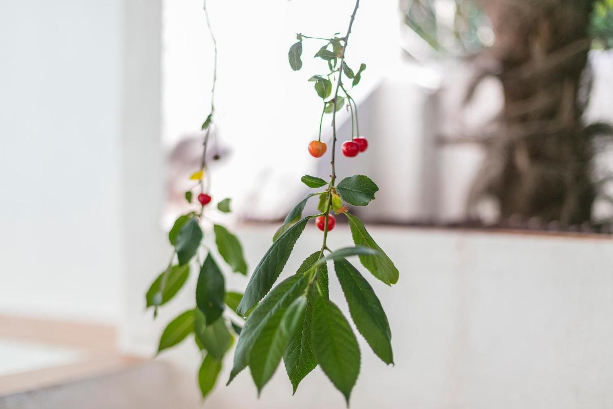 Fragrant Garden Apartment