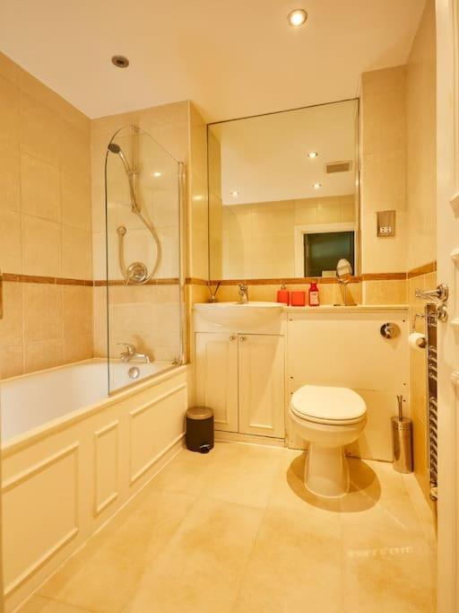 (Oxford Street – Piccadilly Circus) Apartment Central London