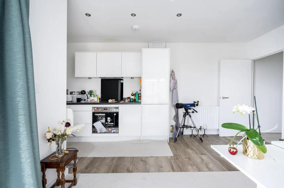 Sunny Luxury Skyline Flat near Alexandra Palace, Tottenham Stadium & Drumsheds