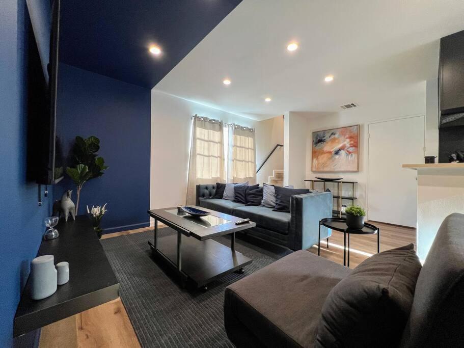 Image 4 of Hollywood Blue Habitat