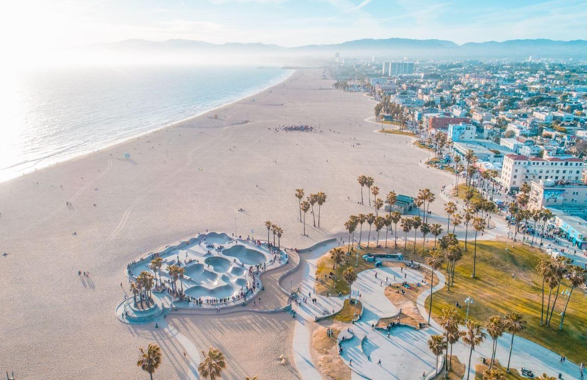 Image 6 of Hollywood Blue Habitat