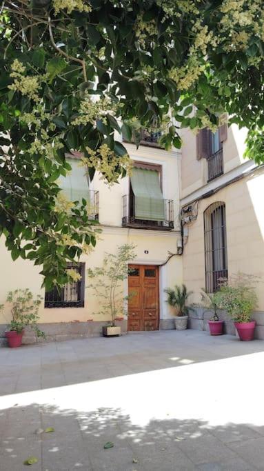 Apartamento con patio en Madrid centro