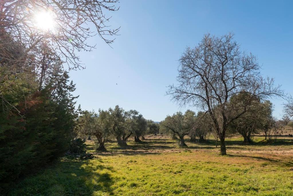 Finca el Palomar de la Viña