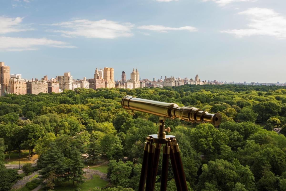 The Ritz-Carlton New York, Central Park