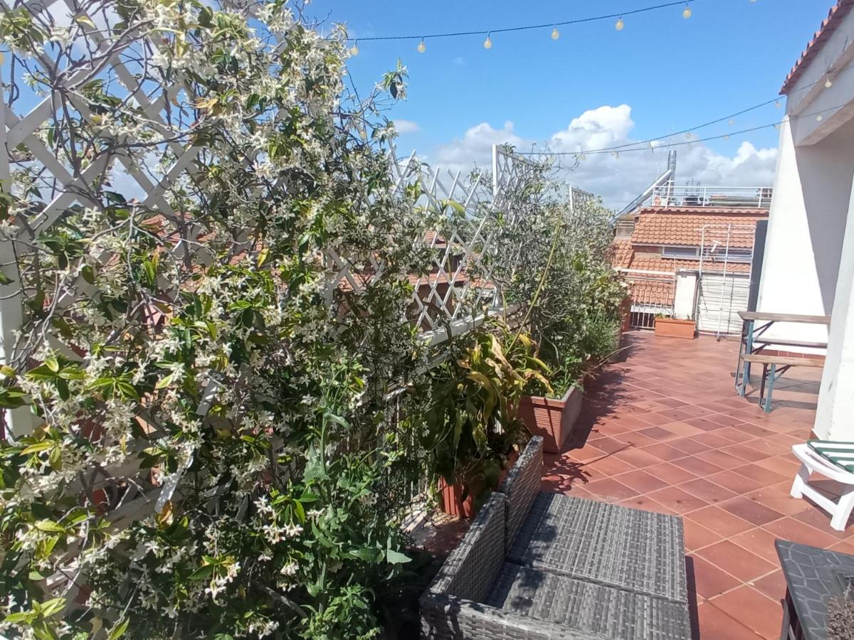 Rooftop Appia antica,silenzioso riservato two bedrooms two bathrooms