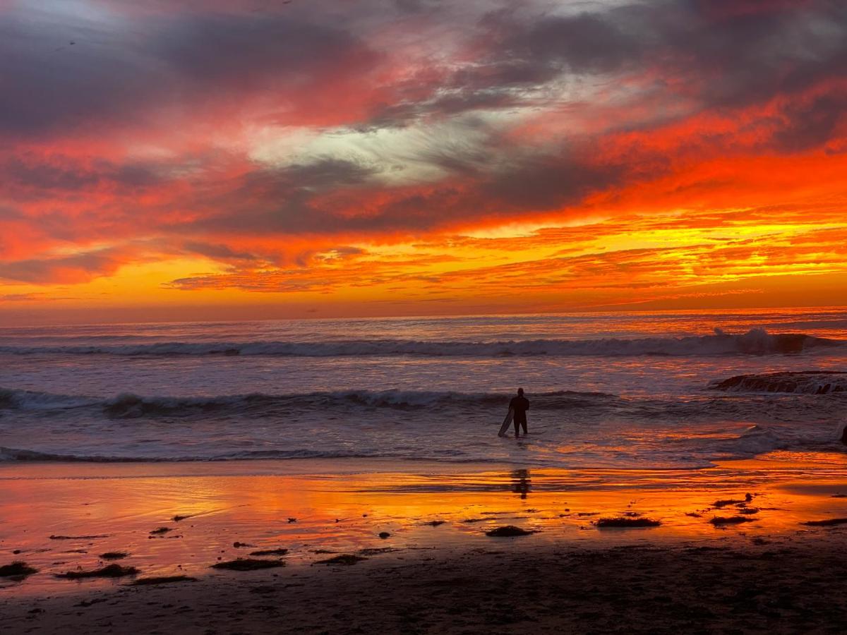 Pet Friendly Lrg 1BD Dog Beach Waves and Sunshine