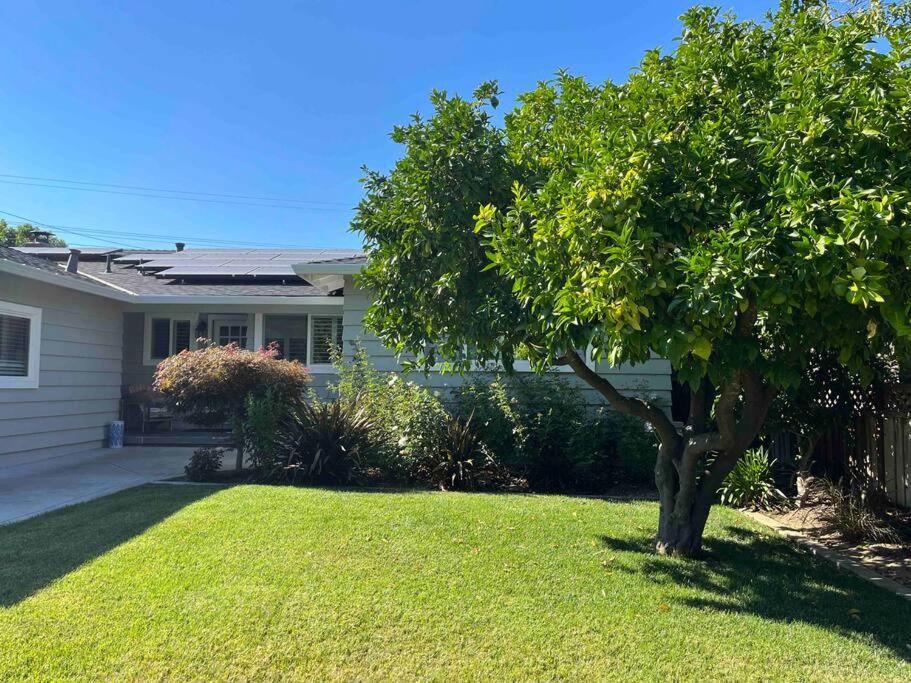 Beautiful San Jose 4 Bedroom Single Family House – Fenced Yard, Nice Kitchen, Pet and kids Friendly