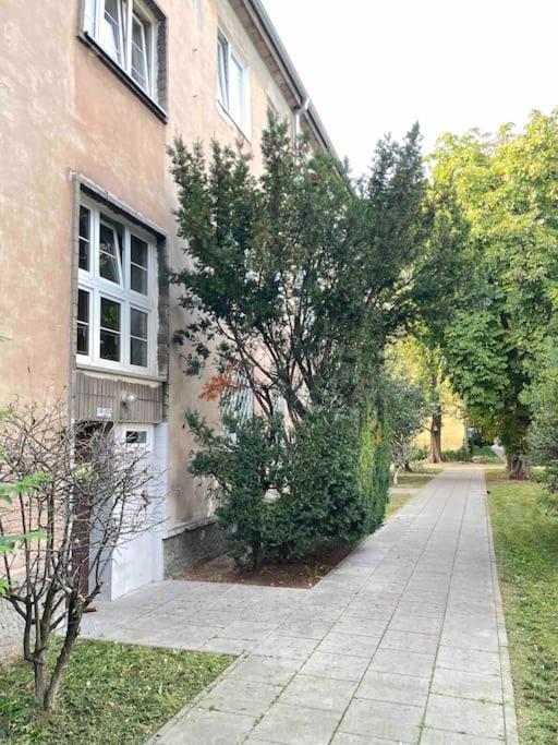 Pajczur home – 40m2