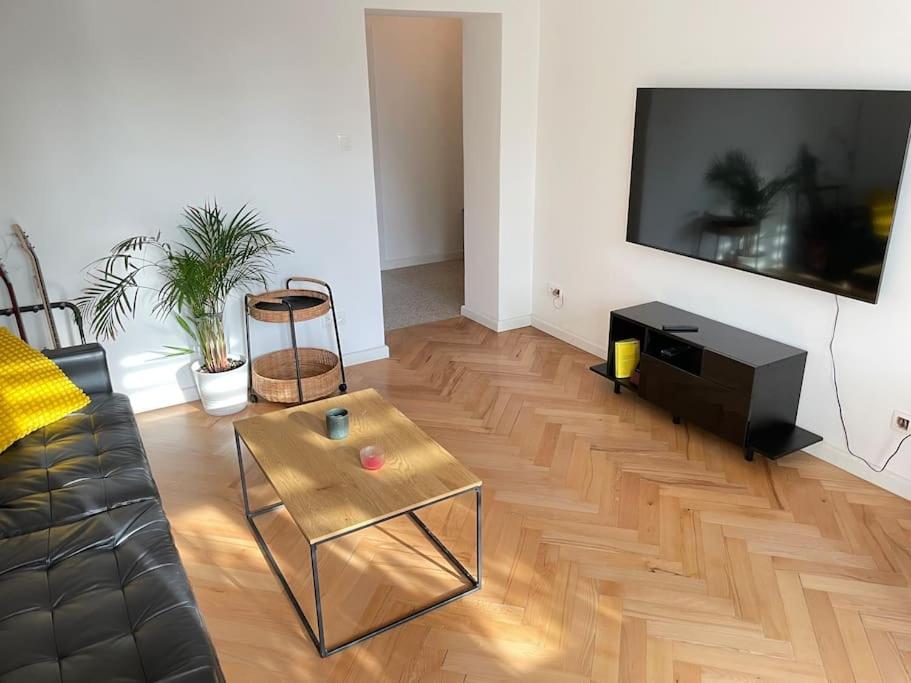 Pajczur home – 40m2